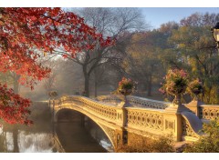 Фотообои Осенний сад 13-0294-PE