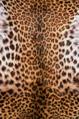 Фотообои Шкура леопарда, 2 листа