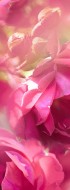 Б1-396 Розовые цветы