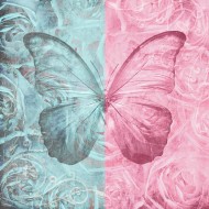 Фотообои Бабочка и розы, 3 листа