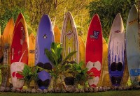 Фотообои  «Серфинг» 8-902 Maui